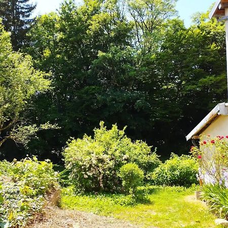 Les Glycines, un air de campagne à la ville Besançon Esterno foto